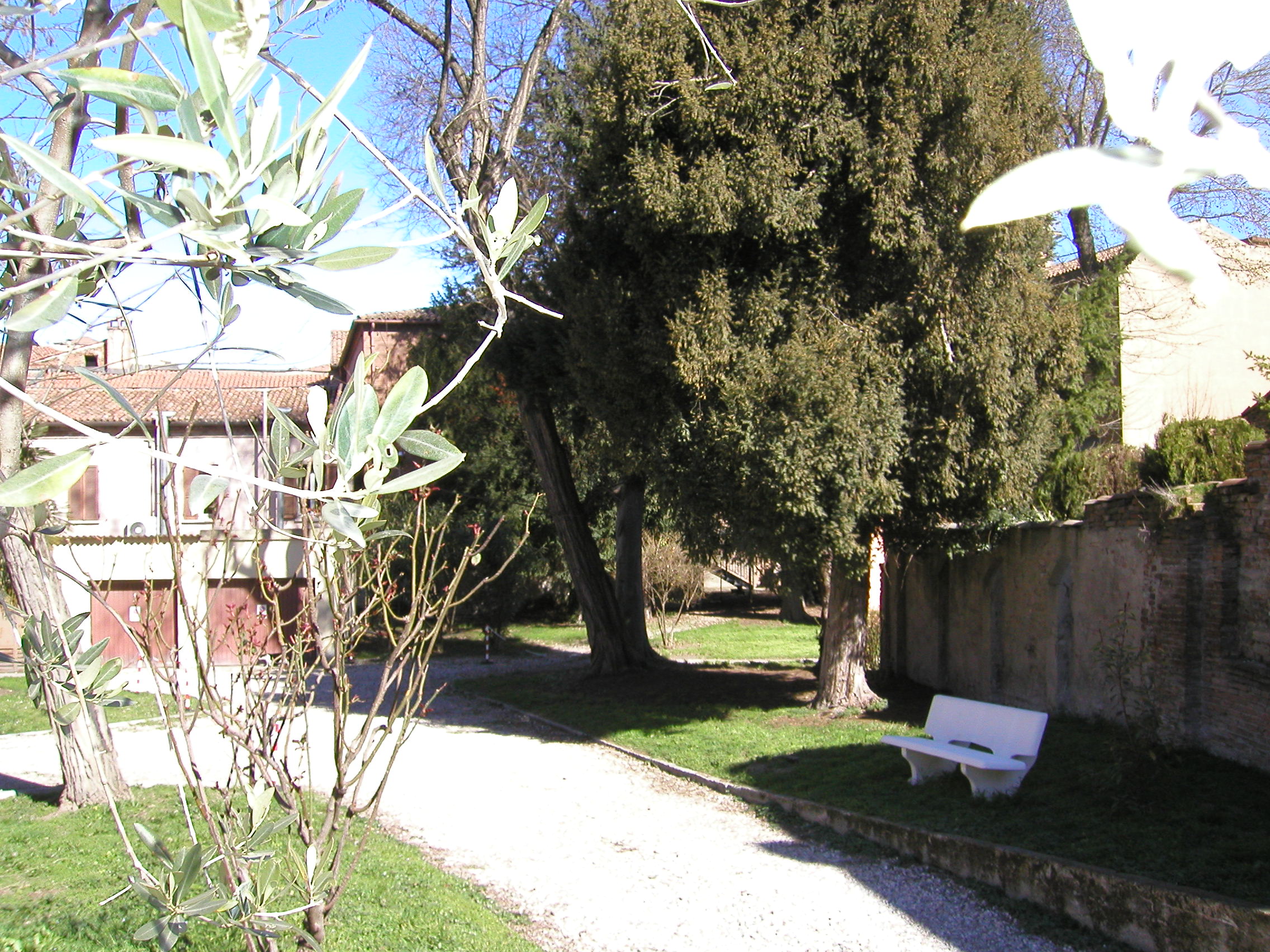 Il giardino di IUSS-Ferrara 1391